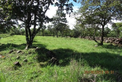 7196 - Caldera - propiedades