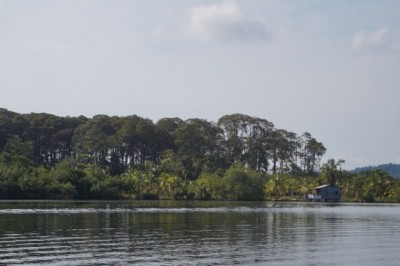 73540 - Tierra oscura - lotes