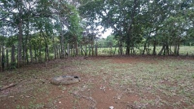 74402 - Guaca - fincas