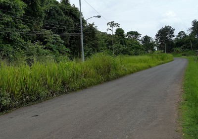 74908 - Nuevo emperador - lotes