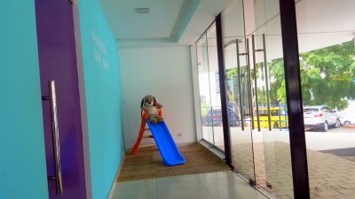 74961 - Paitilla - commercials