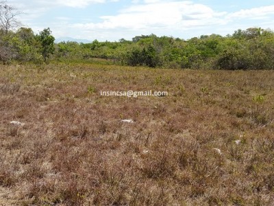 75384 - Veraguas - fincas