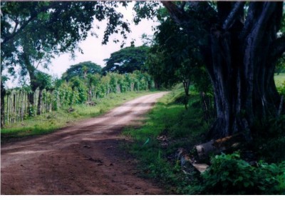 7632 - Purio - propiedades