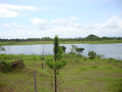 7776 - La mata - lotes