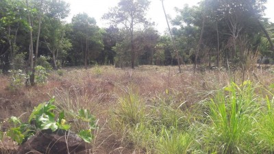 78199 - El valle de anton - lotes