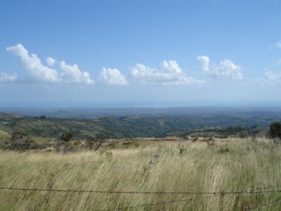 7891 - Coronado - lotes