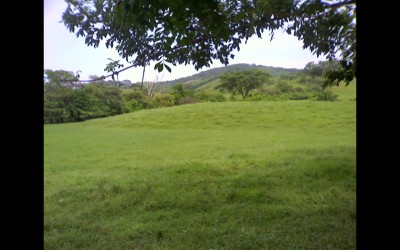 7893 - Chame - fincas