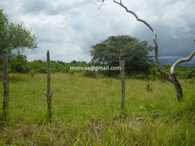 79077 - Santiago de Veraguas - fincas