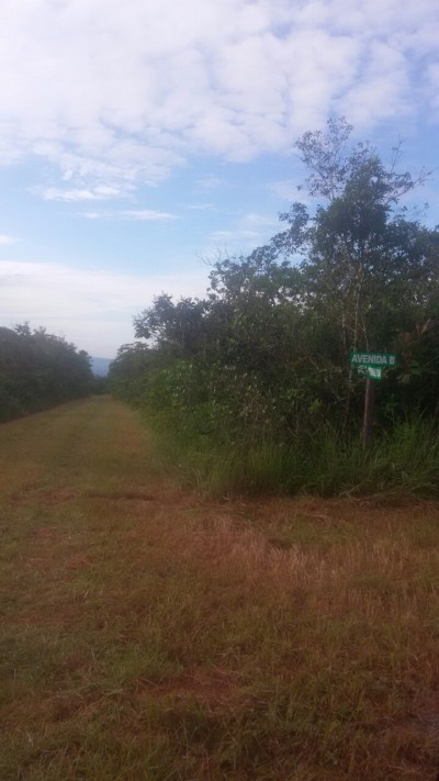 79218 - Potrerillos - lotes