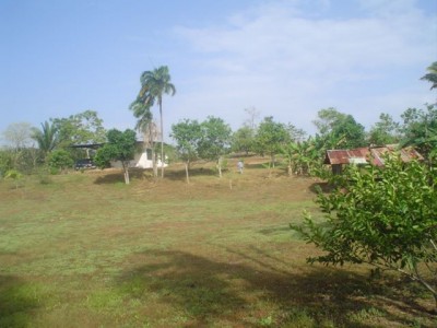 80645 - Chilibre - fincas