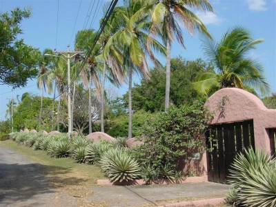 81019 - Coronado - fincas