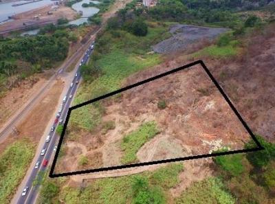 81074 - Cardenas - propiedades