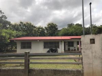 82664 - Penonomé - lots