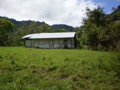 8321 - Bugaba - fincas