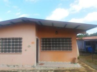 84667 - David - casas