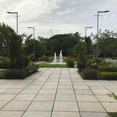 84674 - David - locales