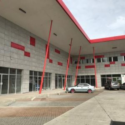 84676 - Bambito - lots