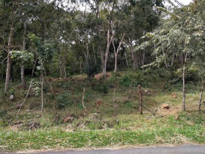 84925 - Las Tablas - fincas - cerro canajagua