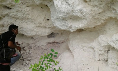 85591 - Chepo - lots