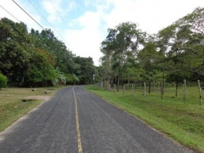 85616 - Penonomé - fincas