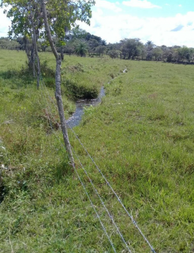 87481 - Dolega - fincas