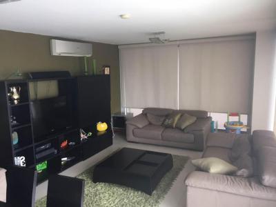 88235 - San francisco - apartamentos - ph citrus