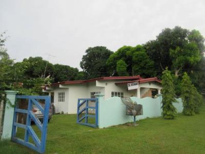 88717 - Playa gorgona - houses