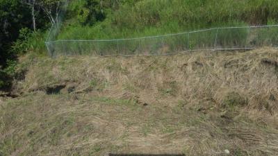 89487 - Las mañanitas - lots