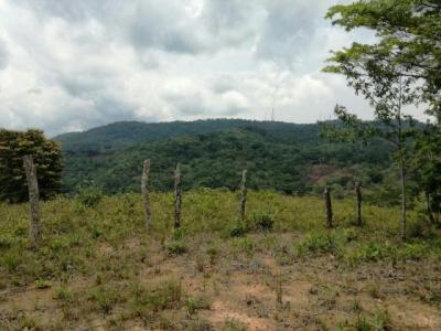 89635 - Tocumen - lots