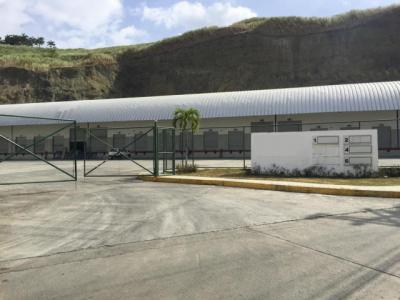 90129 - Milla 8 - galeras