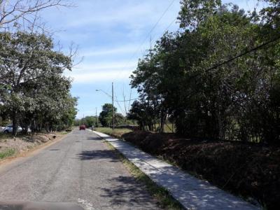 90311 - Jaramillo - lotes