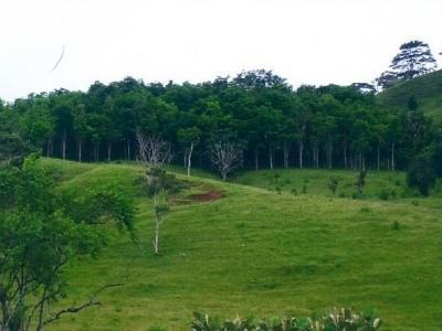 90452 - Capira - lots