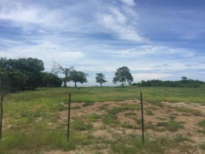 90714 - Punta chame - lotes