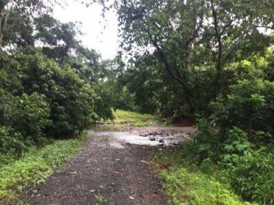 91031 - La Chorrera - lots