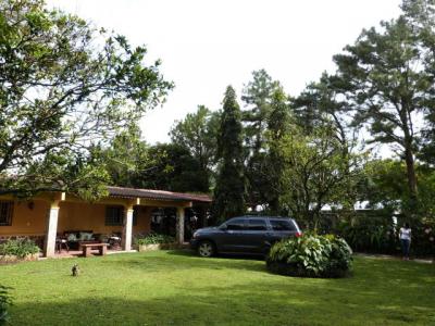 91546 - Coclé - houses