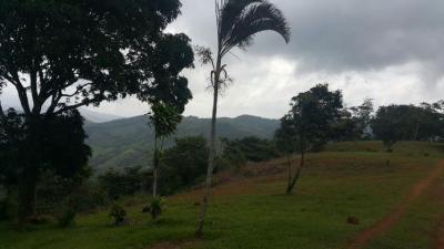 91764 - Cerro azul - lotes