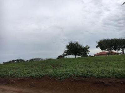 92301 - Coronado - lotes