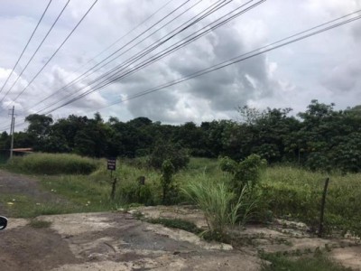 92342 - La Chorrera - lotes