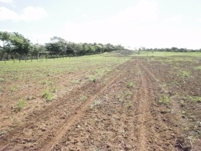 9304 - Calobre - fincas