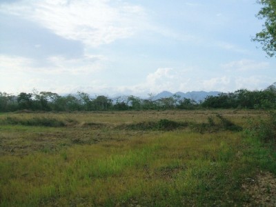 9311 - Natá - fincas