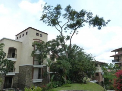 93260 - Clayton - apartamentos - embassy club