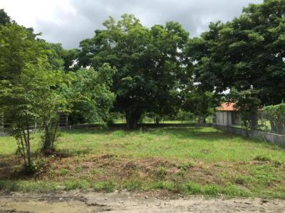 93607 - Reparto nuevo panama - lotes