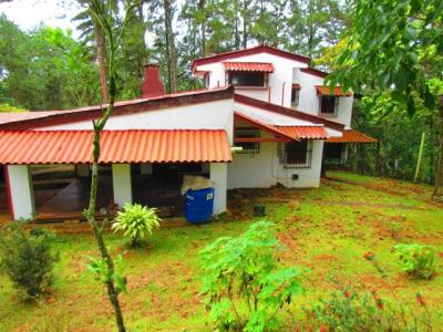 93733 - Cerro azul - casas