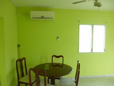 9446 - Dolega - propiedades