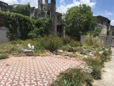 94709 - Curundú - fincas