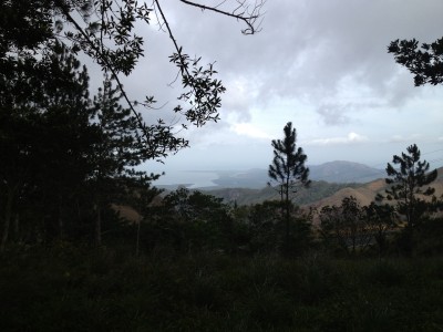 9631 - Chica - fincas