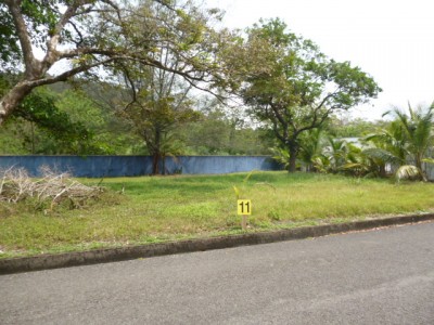 9910 - Maria chiquita - lotes